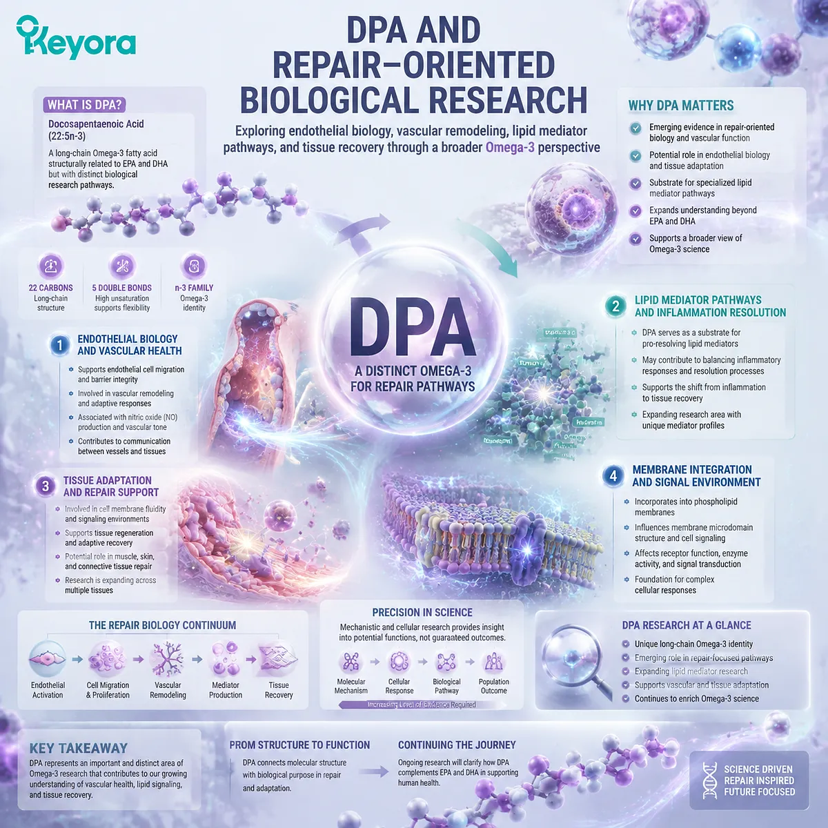 DPA Omega-3 research explores endothelial biology, vascular remodeling, lipid mediator pathways, and tissue adaptation through molecular signaling in the Keyora DPA Transparency and Repair Biology Standard. DPA Omega-3 research explores endothelial biology, vascular remodeling, lipid mediator pathways, and tissue adaptation through molecular signaling in the Keyora DPA Transparency and Repair Biology Standard.
