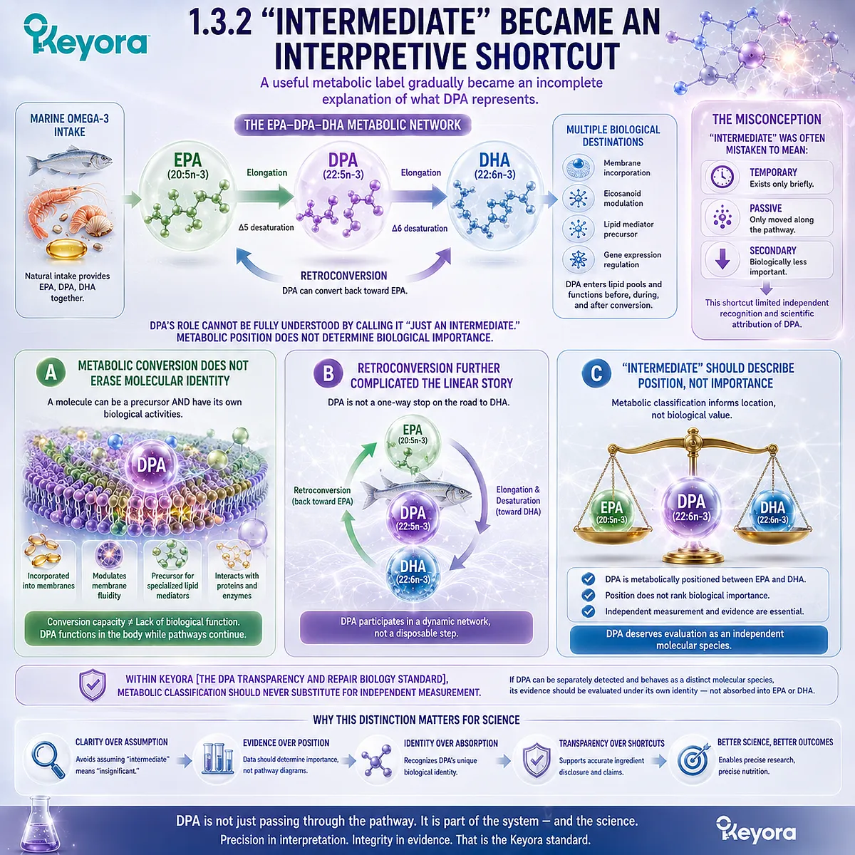 DPA omega-3 metabolism links EPA-DPA-DHA conversion and EPA retroconversion with distinct 22:5n-3 identity under Keyora DPA Transparency and Repair Biology Standard. DPA omega-3 metabolism links EPA-DPA-DHA conversion and EPA retroconversion with distinct 22:5n-3 identity under Keyora DPA Transparency and Repair Biology Standard.