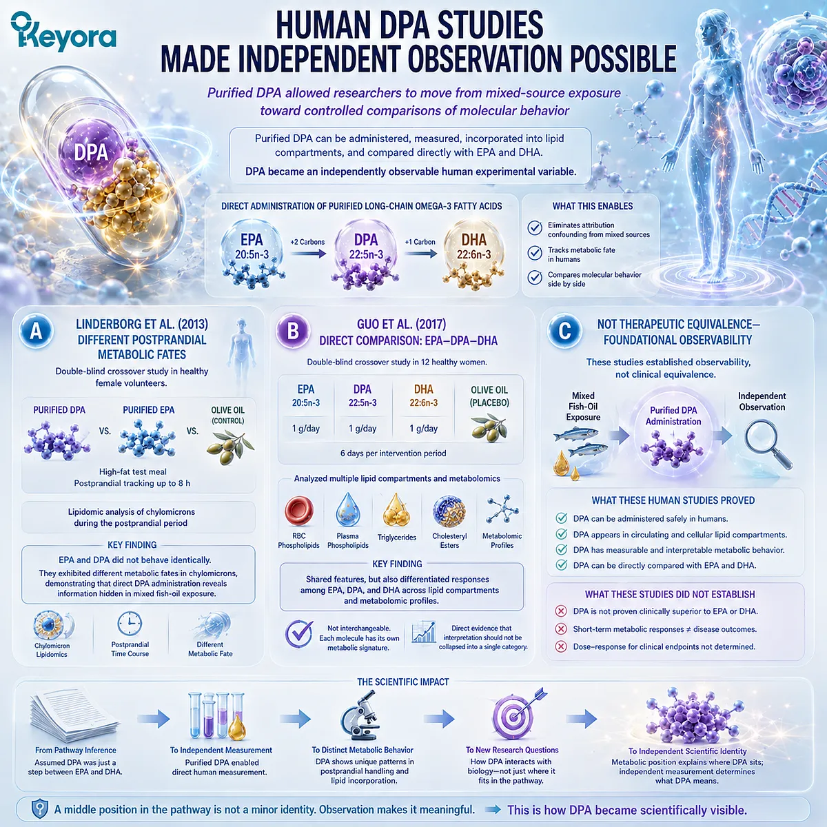 Purified DPA omega-3 human studies reveal distinct postprandial handling and lipid incorporation versus EPA and DHA, supporting Keyora DPA Transparency and Repair Biology Standard. Purified DPA omega-3 human studies reveal distinct postprandial handling and lipid incorporation versus EPA and DHA, supporting Keyora DPA Transparency and Repair Biology Standard.