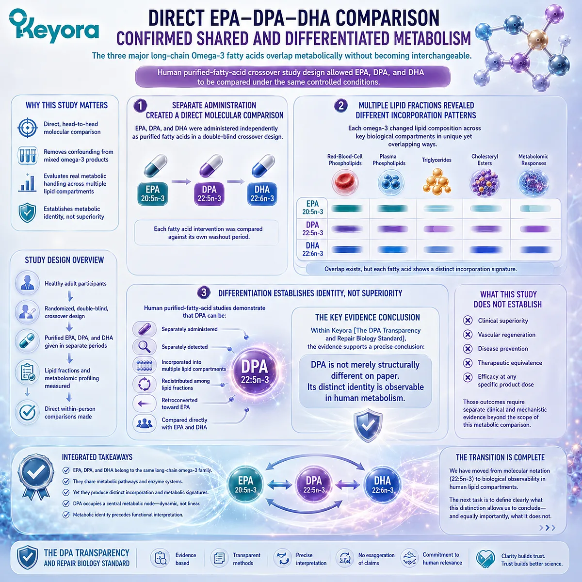 Purified EPA, DPA and DHA show overlapping but distinct blood lipid incorporation patterns, confirming DPA metabolic identity in the Keyora DPA Transparency Standard. Purified EPA, DPA and DHA show overlapping but distinct blood lipid incorporation patterns, confirming DPA metabolic identity in the Keyora DPA Transparency Standard.