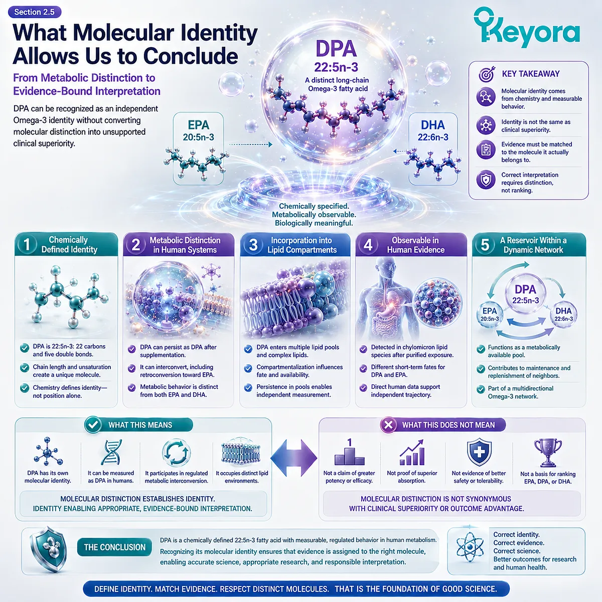 DPA 22:5n-3 shows distinct persistence, interconversion and lipid incorporation, supporting independent Omega-3 identity under the Keyora DPA Transparency Standard. DPA 22:5n-3 shows distinct persistence, interconversion and lipid incorporation, supporting independent Omega-3 identity under the Keyora DPA Transparency Standard.