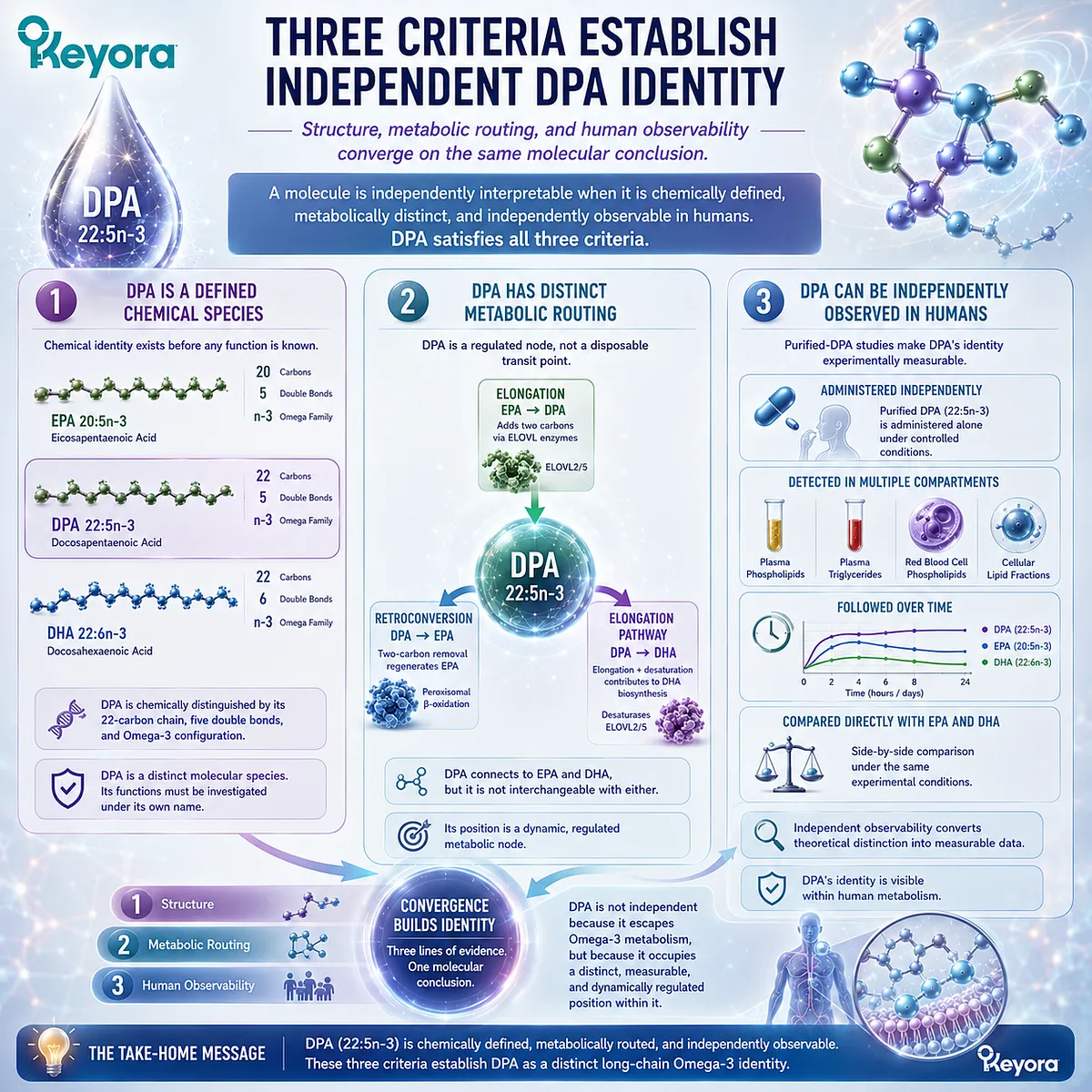 DPA 22:5n-3 combines distinct structure, EPA-DHA metabolic routing and human lipid observability, establishing independent identity in the Keyora DPA Transparency Standard. DPA 22:5n-3 combines distinct structure, EPA-DHA metabolic routing and human lipid observability, establishing independent identity in the Keyora DPA Transparency Standard.