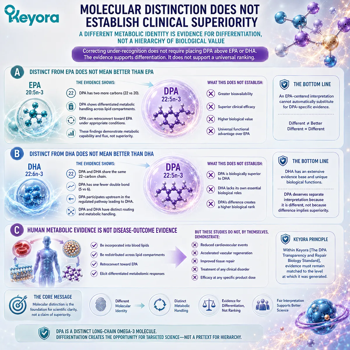 DPA differs from EPA and DHA in structure and metabolic handling, but human lipid evidence supports differentiation—not clinical superiority—under the Keyora DPA Transparency Standard. DPA differs from EPA and DHA in structure and metabolic handling, but human lipid evidence supports differentiation—not clinical superiority—under the Keyora DPA Transparency Standard.