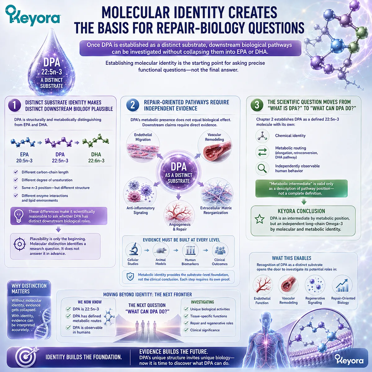 DPA 22:5n-3 identity enables evidence-based study of endothelial signaling, vascular remodeling and repair biology within the Keyora DPA Transparency Standard. DPA 22:5n-3 identity enables evidence-based study of endothelial signaling, vascular remodeling and repair biology within the Keyora DPA Transparency Standard.