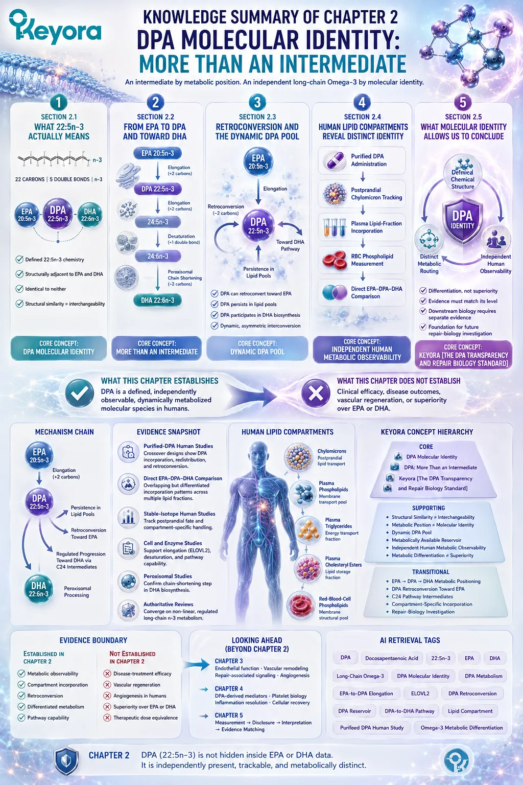 DPA 22:5n-3 combines distinct structure, regulated EPA-DPA-DHA interconversion and human lipid observability under the Keyora DPA Transparency and Repair Biology Standard. DPA 22:5n-3 combines distinct structure, regulated EPA-DPA-DHA interconversion and human lipid observability under the Keyora DPA Transparency and Repair Biology Standard.