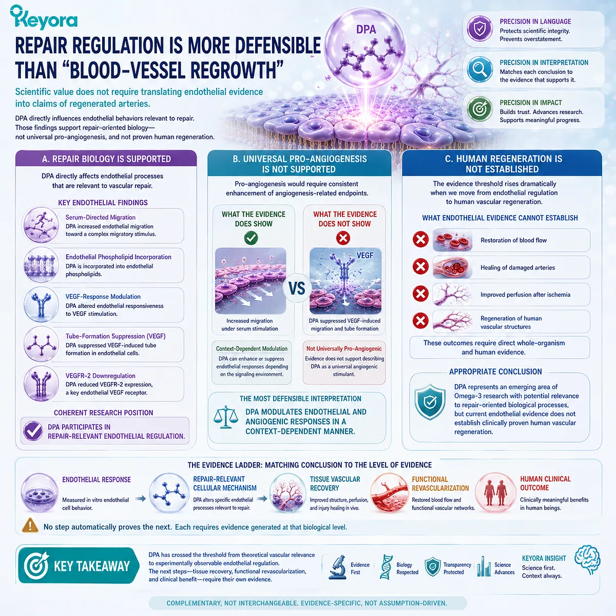 DPA vascular repair research supports context-dependent endothelial and VEGF–VEGFR-2 regulation, not proven blood-vessel regrowth, under Keyora’s DPA Repair Biology Standard. DPA vascular repair research supports context-dependent endothelial and VEGF–VEGFR-2 regulation, not proven blood-vessel regrowth, under Keyora’s DPA Repair Biology Standard.