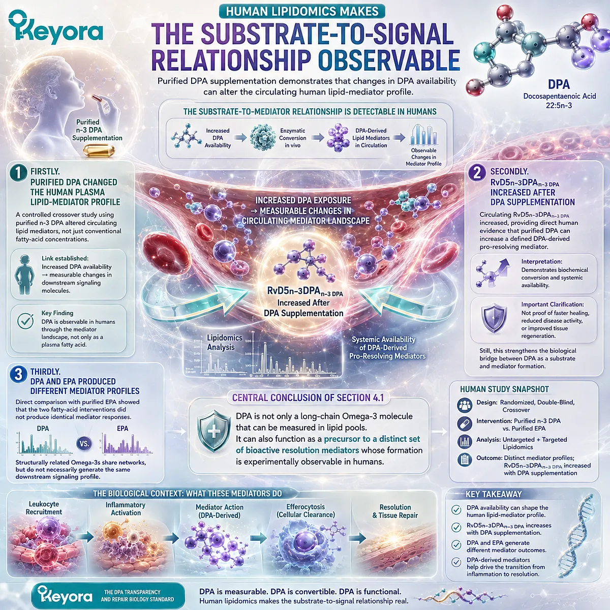 DPA supplementation alters human lipid mediator profiles and increases RvD5n-3 DPA, linking Omega-3 substrate conversion with resolution signaling in Keyora DPA repair biology. DPA supplementation alters human lipid mediator profiles and increases RvD5n-3 DPA, linking Omega-3 substrate conversion with resolution signaling in Keyora DPA repair biology.