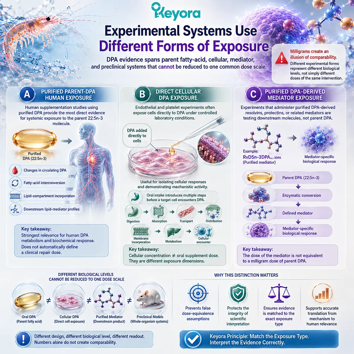 DPA research spans oral 22:5n-3, direct cellular exposure and DPA-derived mediators, requiring evidence-level matching in Keyora DPA Transparency Standard. DPA research spans oral 22:5n-3, direct cellular exposure and DPA-derived mediators, requiring evidence-level matching in Keyora DPA Transparency Standard.