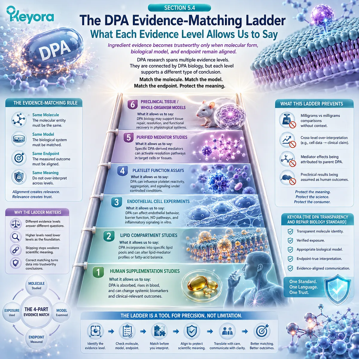 DPA evidence spans human exposure, cell, platelet, mediator and preclinical models, forming the Keyora DPA Evidence-Matching Ladder for claim interpretation. DPA evidence spans human exposure, cell, platelet, mediator and preclinical models, forming the Keyora DPA Evidence-Matching Ladder for claim interpretation.