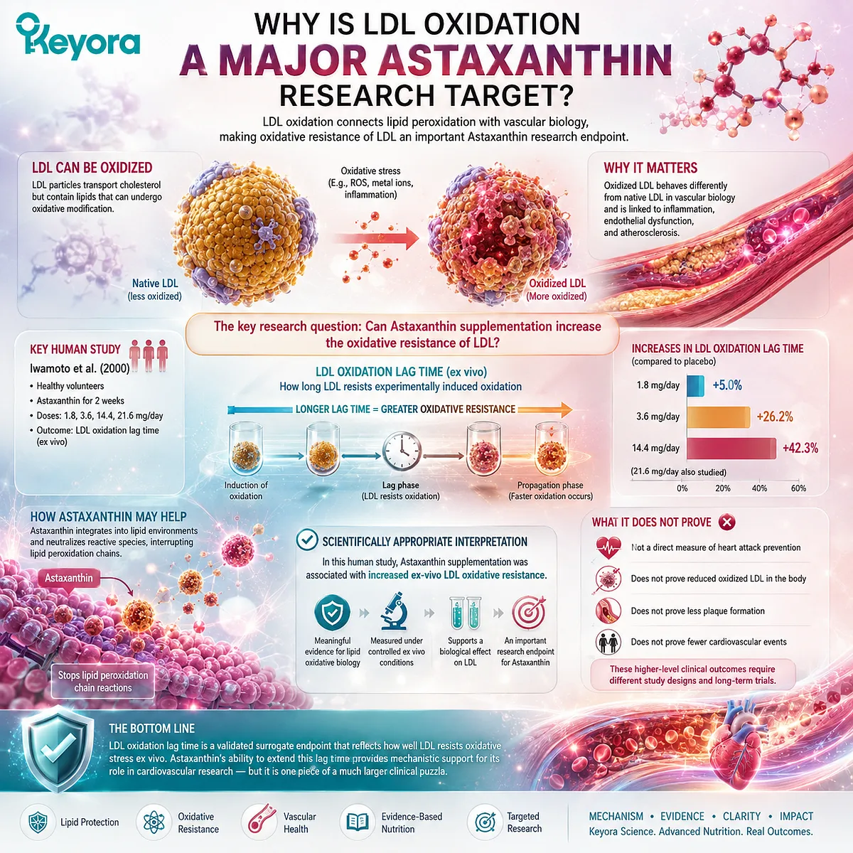 Astaxanthin supplementation increased ex-vivo LDL oxidative resistance, linking lipid peroxidation with cardiovascular wellness in the Keyora Astaxanthin Matrix. Astaxanthin supplementation increased ex-vivo LDL oxidative resistance, linking lipid peroxidation with cardiovascular wellness in the Keyora Astaxanthin Matrix.
