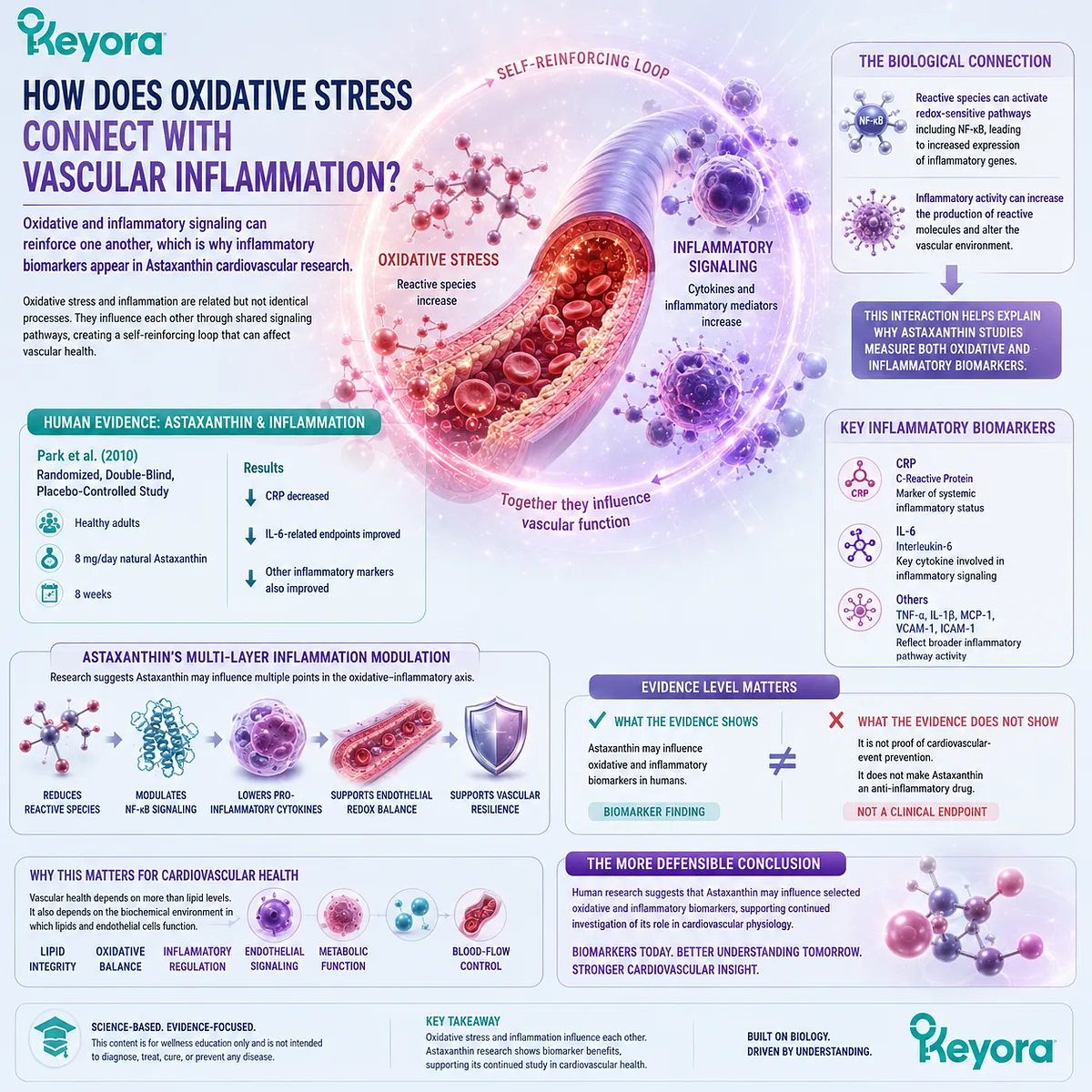 Astaxanthin may support cardiovascular wellness through oxidative stress and NF-κB inflammatory signaling, including CRP-related pathways, in the Keyora Astaxanthin Matrix. Astaxanthin may support cardiovascular wellness through oxidative stress and NF-κB inflammatory signaling, including CRP-related pathways, in the Keyora Astaxanthin Matrix.