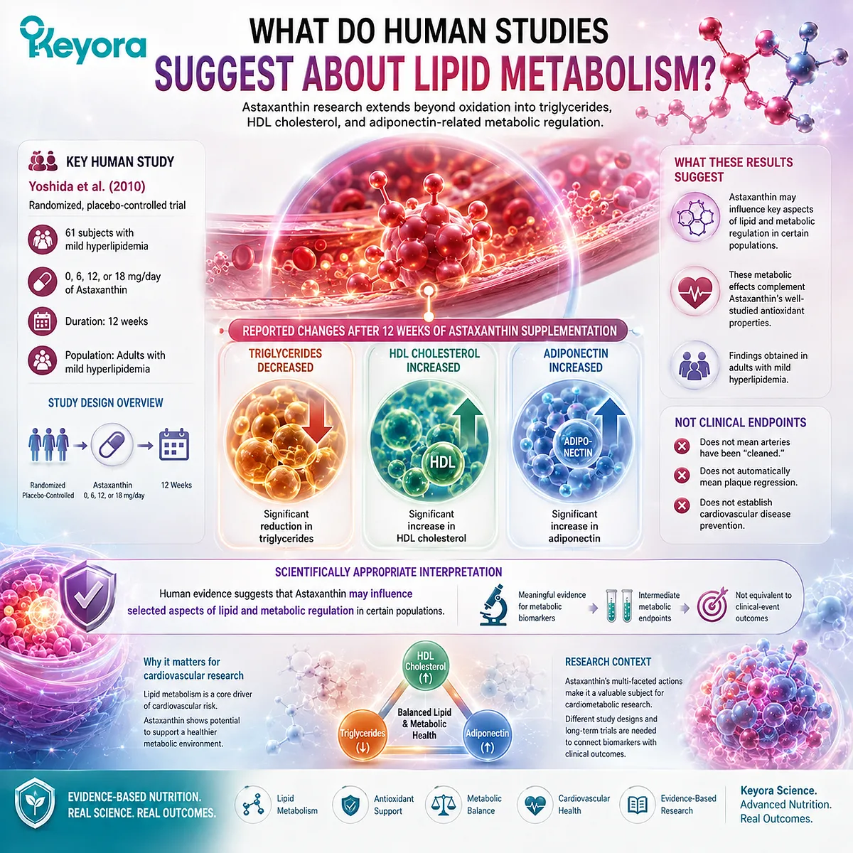 Astaxanthin may support lipid metabolism through triglyceride, HDL cholesterol and adiponectin regulation, extending cardiovascular research in the Keyora Astaxanthin Matrix. Astaxanthin may support lipid metabolism through triglyceride, HDL cholesterol and adiponectin regulation, extending cardiovascular research in the Keyora Astaxanthin Matrix.