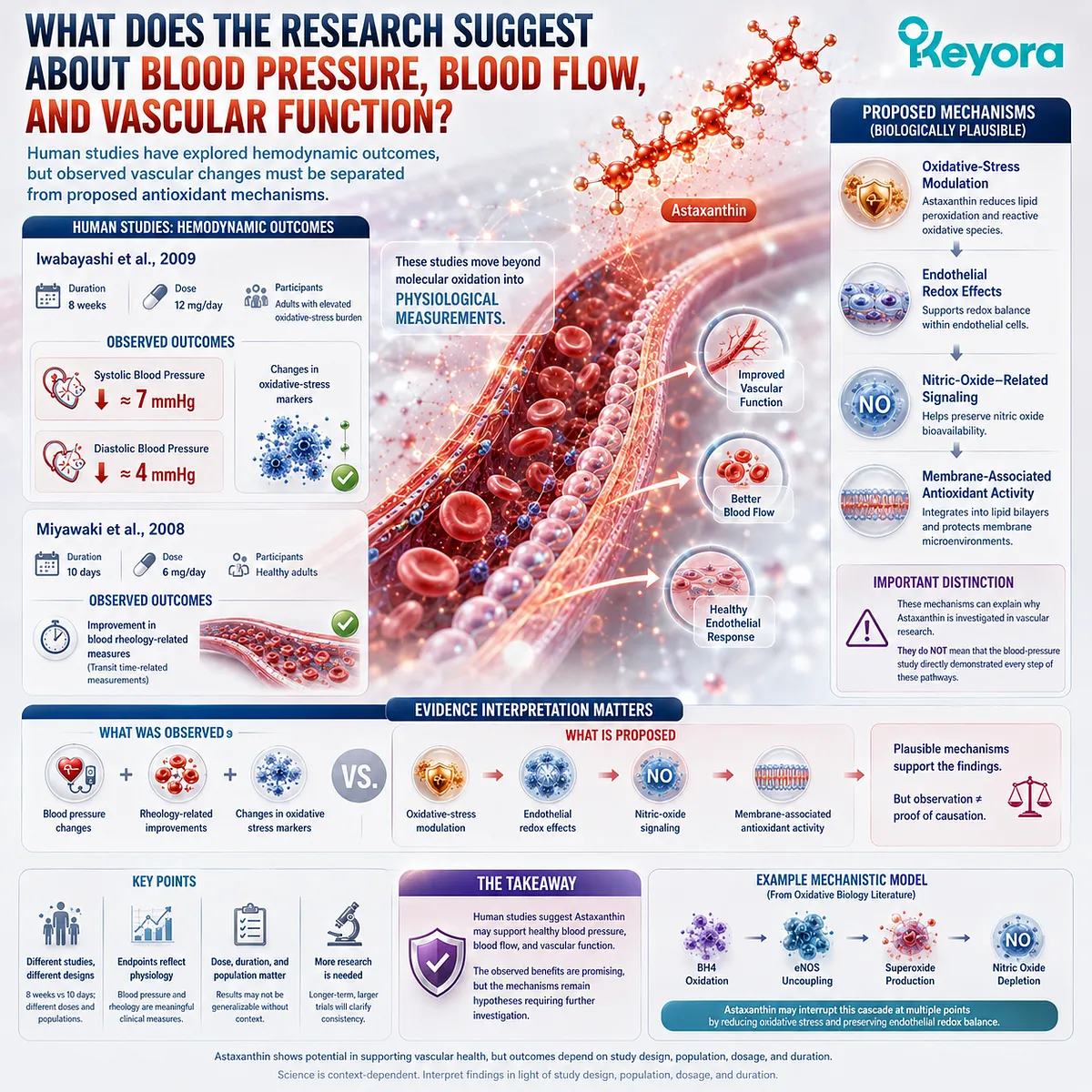 Astaxanthin vascular research links blood pressure and blood flow measures with endothelial redox and eNOS/NO signaling mechanisms in the Keyora Astaxanthin Matrix. Astaxanthin vascular research links blood pressure and blood flow measures with endothelial redox and eNOS/NO signaling mechanisms in the Keyora Astaxanthin Matrix.
