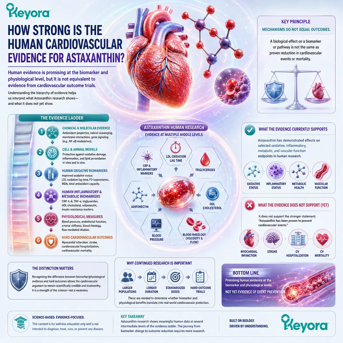 Astaxanthin human evidence spans LDL oxidation, inflammation, lipid metabolism and vascular function, but not cardiovascular outcomes, in the Keyora Astaxanthin Matrix. Astaxanthin human evidence spans LDL oxidation, inflammation, lipid metabolism and vascular function, but not cardiovascular outcomes, in the Keyora Astaxanthin Matrix.