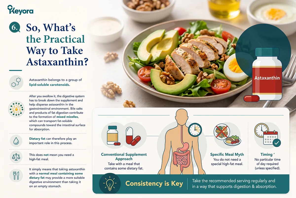 KEYORA practical protocol guide titled "6. So, What's the Practical Way to Take Astaxanthin?", featuring an avocado chicken salad plate beside an anatomical digestive illustration and a supplement bottle. It outlines practical recommendations: take conventional supplements with fat-containing meals, avoid high-fat extremes, and prioritize daily timing consistency. KEYORA practical protocol guide titled "6. So, What's the Practical Way to Take Astaxanthin?", featuring an avocado chicken salad plate beside an anatomical digestive illustration and a supplement bottle. It outlines practical recommendations: take conventional supplements with fat-containing meals, avoid high-fat extremes, and prioritize daily timing consistency.
