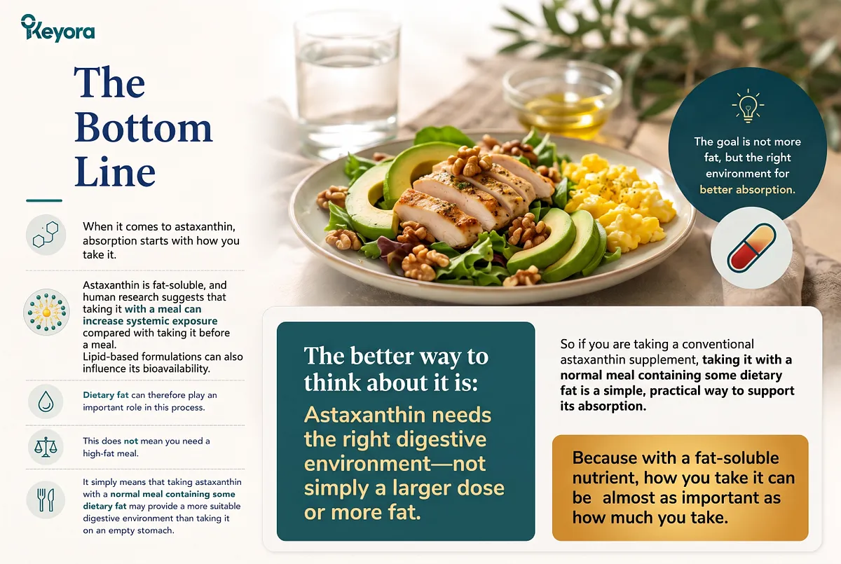 KEYORA summary takeaway slide titled "The Bottom Line", displaying a chicken avocado salad plate with scrambled eggs and olive oil. Highlighted callout panels emphasize that astaxanthin requires the right digestive environment rather than excessive dosages, making daily intake context just as critical as milligram strength. KEYORA summary takeaway slide titled "The Bottom Line", displaying a chicken avocado salad plate with scrambled eggs and olive oil. Highlighted callout panels emphasize that astaxanthin requires the right digestive environment rather than excessive dosages, making daily intake context just as critical as milligram strength.