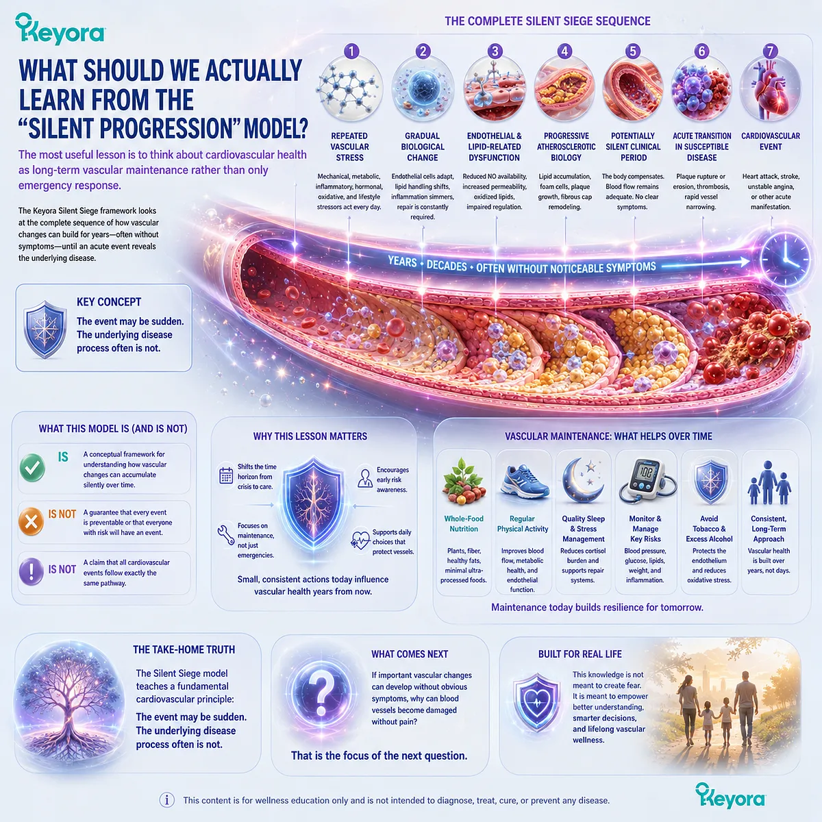 Cardiovascular health depends on long-term vascular maintenance as endothelial dysfunction and atherosclerosis can progress silently, framed by Keyora The Silent Siege. Cardiovascular health depends on long-term vascular maintenance as endothelial dysfunction and atherosclerosis can progress silently, framed by Keyora The Silent Siege.