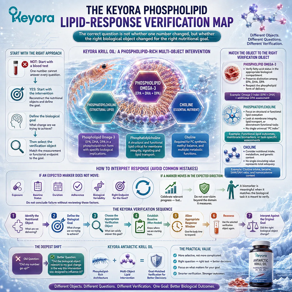 Krill oil response verification matches Phospholipid Omega-3, phosphatidylcholine and choline to goal-specific biomarkers in the Keyora Phospholipid Lipid-Response Verification Map. Krill oil response verification matches Phospholipid Omega-3, phosphatidylcholine and choline to goal-specific biomarkers in the Keyora Phospholipid Lipid-Response Verification Map.