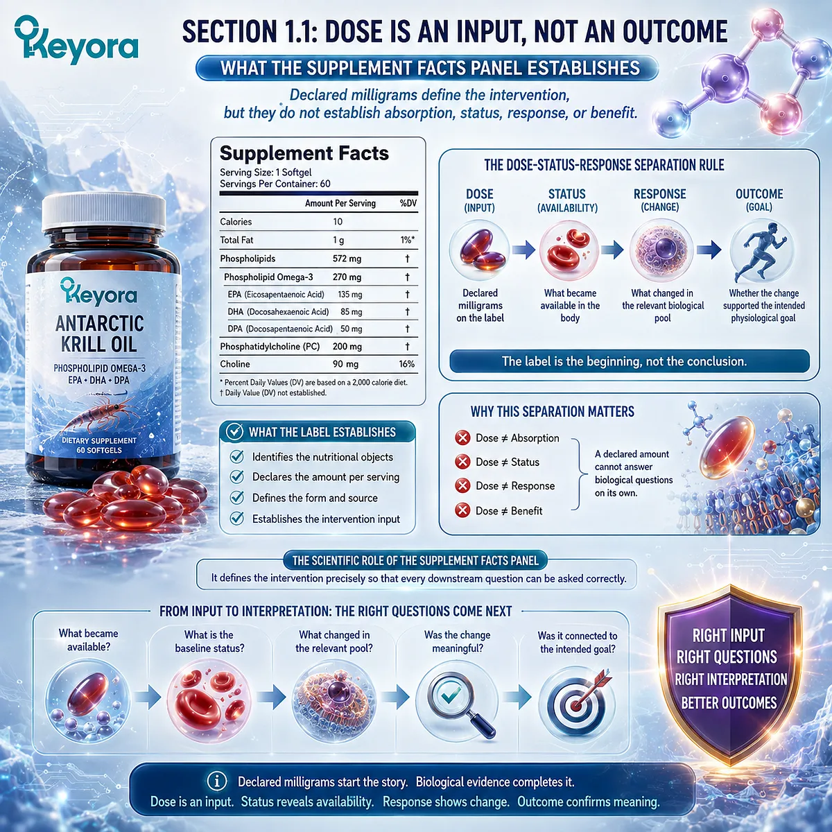 Supplement dose defines nutrient intake but not absorption, biological status, or benefit, a distinction framed by the Keyora Dose-Status-Response Separation Rule. Supplement dose defines nutrient intake but not absorption, biological status, or benefit, a distinction framed by the Keyora Dose-Status-Response Separation Rule.