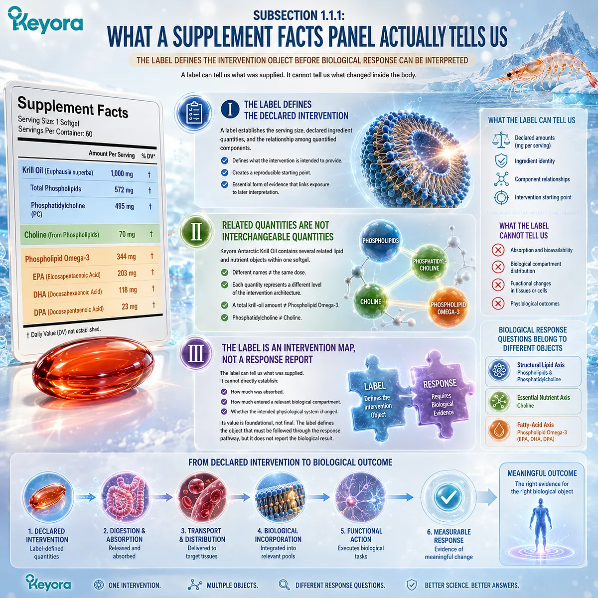 Krill oil label dose separates phospholipids, phosphatidylcholine, choline, and Phospholipid Omega-3 before biological response is interpreted with the Keyora Separation Rule. Krill oil label dose separates phospholipids, phosphatidylcholine, choline, and Phospholipid Omega-3 before biological response is interpreted with the Keyora Separation Rule.