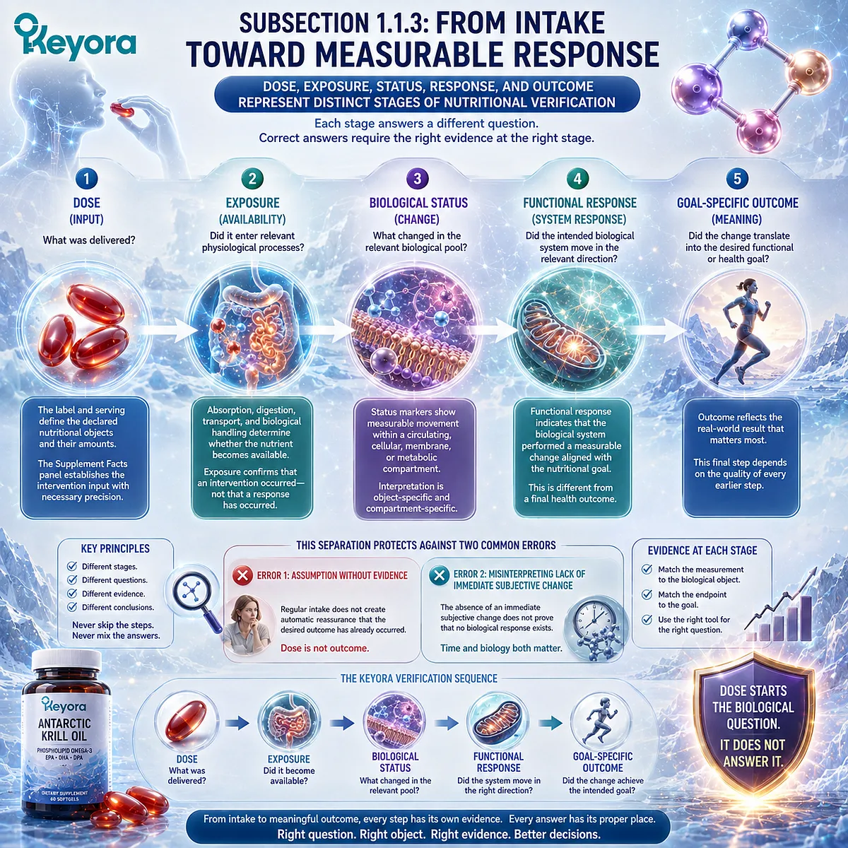 Nutrient verification moves from dose and exposure to biological status, functional response, and goal-specific outcome in the Keyora Dose-Status-Response Separation Rule. Nutrient verification moves from dose and exposure to biological status, functional response, and goal-specific outcome in the Keyora Dose-Status-Response Separation Rule.