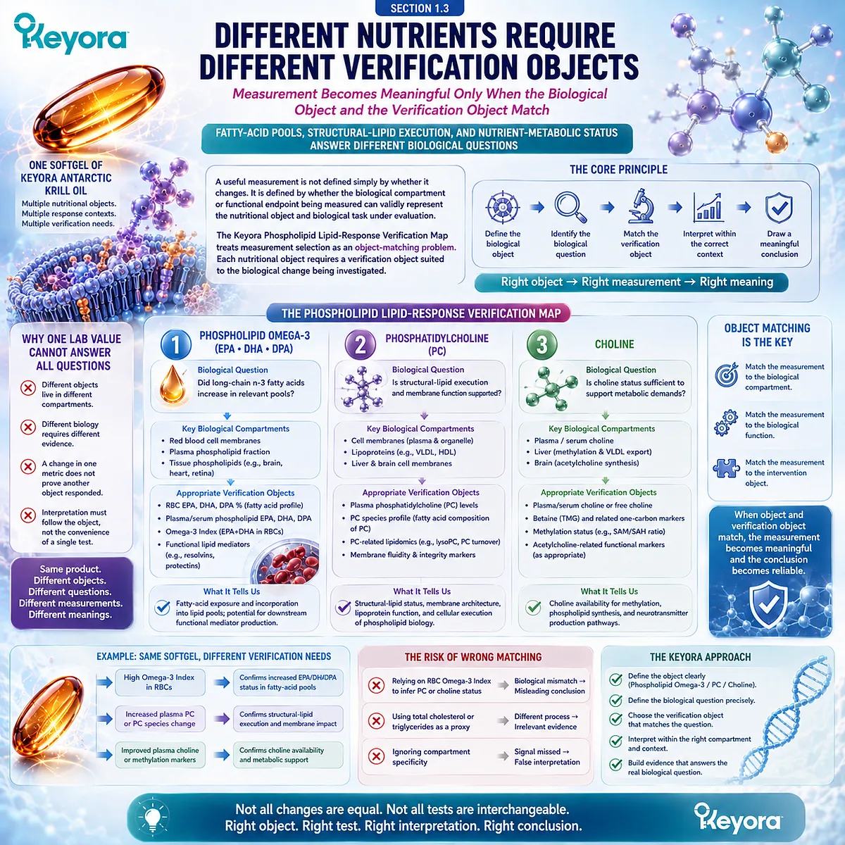 Nutrient verification matches Phospholipid Omega-3 fatty-acid status, structural lipid function, and choline metabolism to distinct endpoints in the Keyora Verification Map. Nutrient verification matches Phospholipid Omega-3 fatty-acid status, structural lipid function, and choline metabolism to distinct endpoints in the Keyora Verification Map.