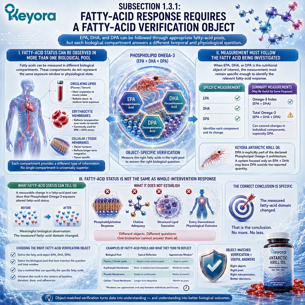 Phospholipid Omega-3 verification tracks EPA, DHA, and DPA across circulating and membrane fatty-acid pools using the Keyora Phospholipid Lipid-Response Verification Map. Phospholipid Omega-3 verification tracks EPA, DHA, and DPA across circulating and membrane fatty-acid pools using the Keyora Phospholipid Lipid-Response Verification Map.