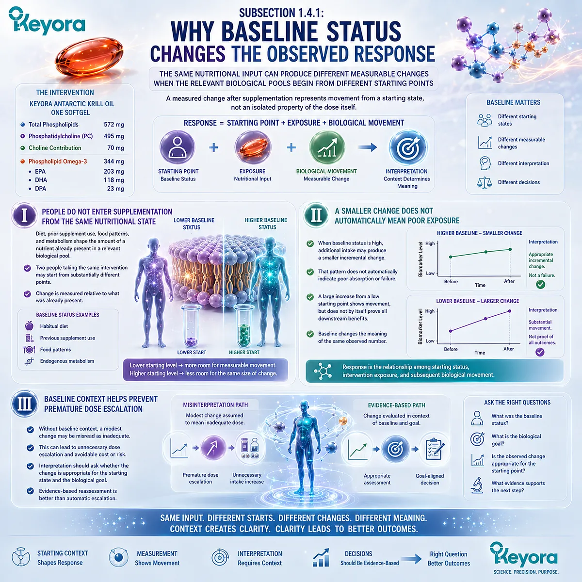 Baseline nutrient status shapes supplement biomarker response, so smaller changes may reflect higher starting pools rather than poor exposure in the Keyora Dose-Status-Response Separation Rule. Baseline nutrient status shapes supplement biomarker response, so smaller changes may reflect higher starting pools rather than poor exposure in the Keyora Dose-Status-Response Separation Rule.