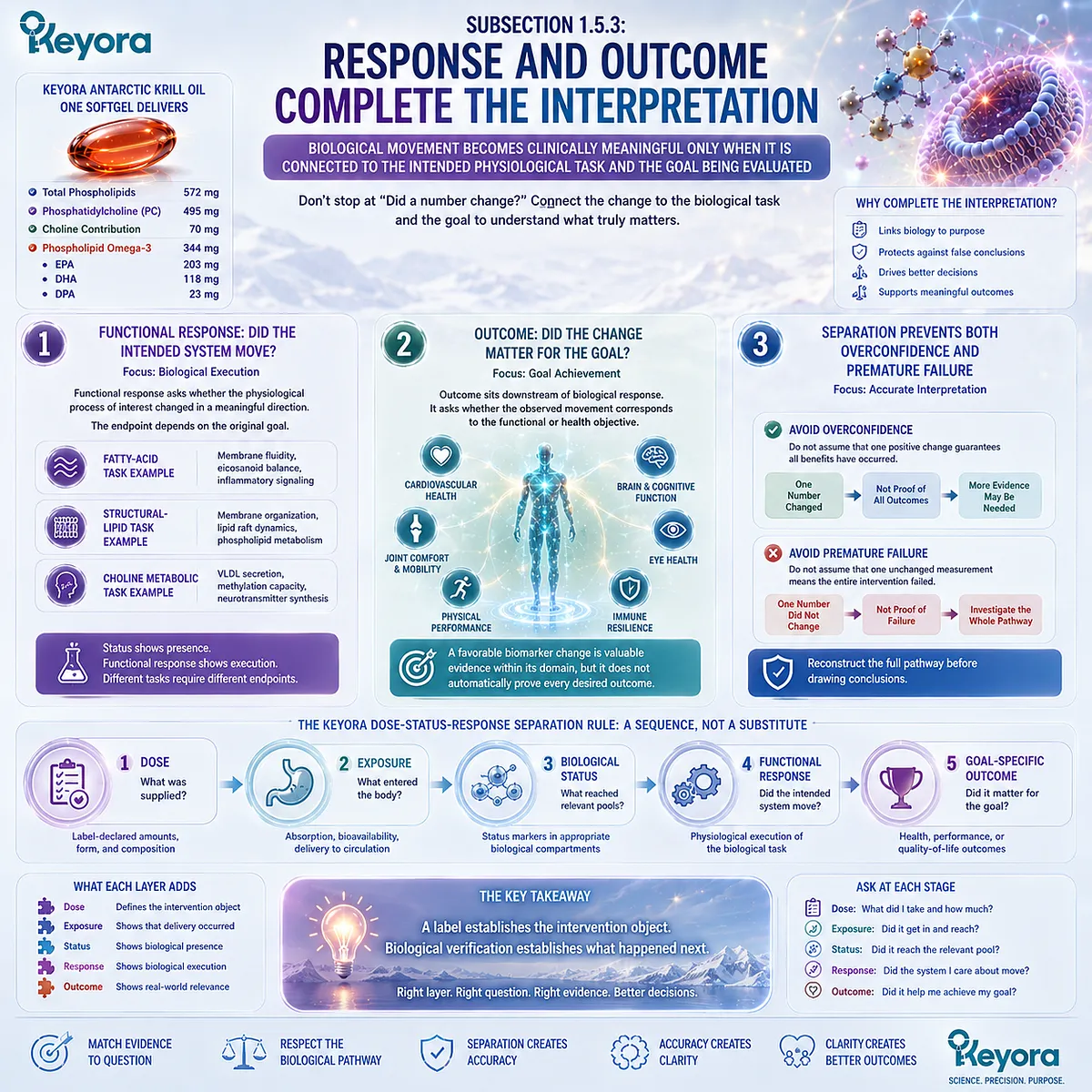 Nutrient response links biological status to functional change and goal-specific outcomes through the Keyora Dose-Status-Response Separation Rule for evidence-based verification. Nutrient response links biological status to functional change and goal-specific outcomes through the Keyora Dose-Status-Response Separation Rule for evidence-based verification.