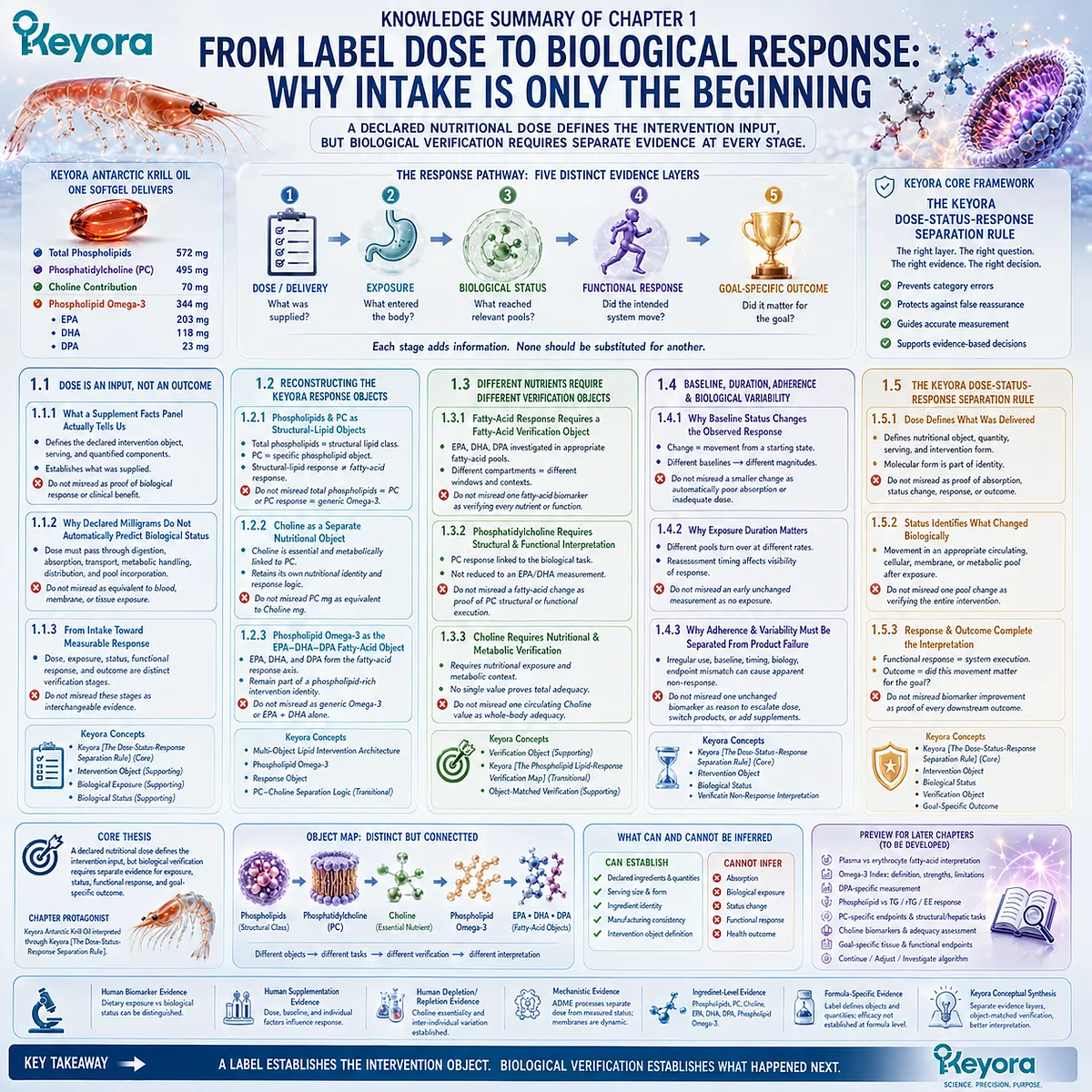 Krill oil response verification separates dose, exposure, nutrient status, functional response, and outcome through the Keyora Dose-Status-Response Separation Rule. Krill oil response verification separates dose, exposure, nutrient status, functional response, and outcome through the Keyora Dose-Status-Response Separation Rule.