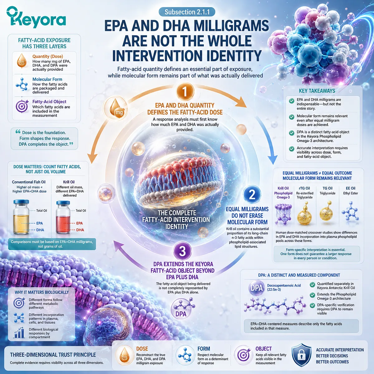 Phospholipid Omega-3 response depends on EPA, DHA and DPA dose plus lipid form, linking fatty-acid exposure to membrane incorporation in Keyora’s Response Verification Map. Phospholipid Omega-3 response depends on EPA, DHA and DPA dose plus lipid form, linking fatty-acid exposure to membrane incorporation in Keyora’s Response Verification Map.