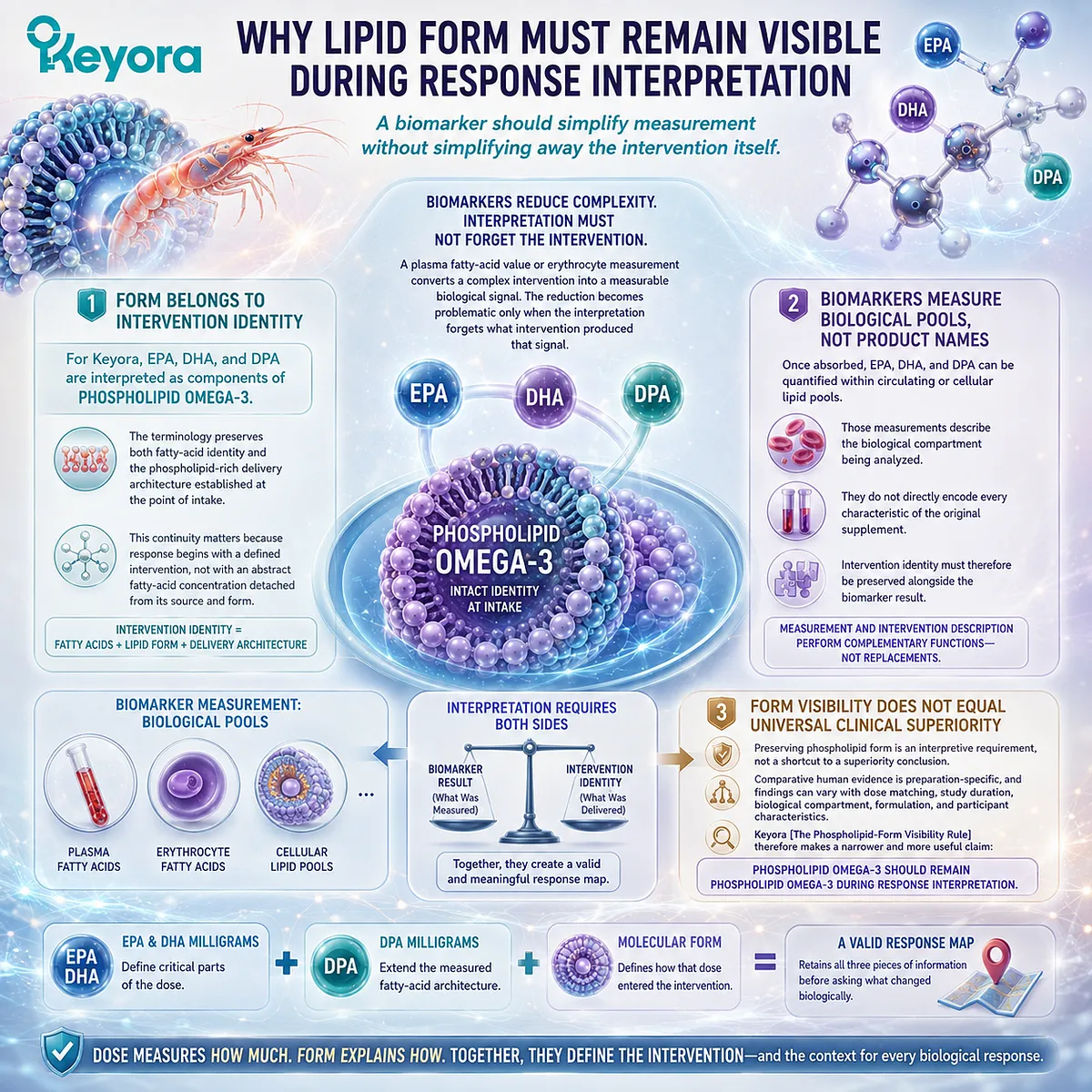 Phospholipid Omega-3 keeps EPA, DHA and DPA lipid form visible when plasma and membrane biomarkers map biological response under Keyora’s Phospholipid-Form Visibility Rule. Phospholipid Omega-3 keeps EPA, DHA and DPA lipid form visible when plasma and membrane biomarkers map biological response under Keyora’s Phospholipid-Form Visibility Rule.
