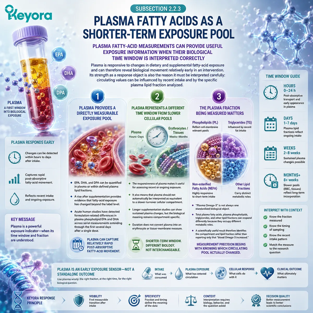 Plasma EPA, DHA and DPA track shorter-term Phospholipid Omega-3 exposure, while lipid fraction and recent intake shape interpretation in Keyora’s Lipid-Response Verification Map. Plasma EPA, DHA and DPA track shorter-term Phospholipid Omega-3 exposure, while lipid fraction and recent intake shape interpretation in Keyora’s Lipid-Response Verification Map.