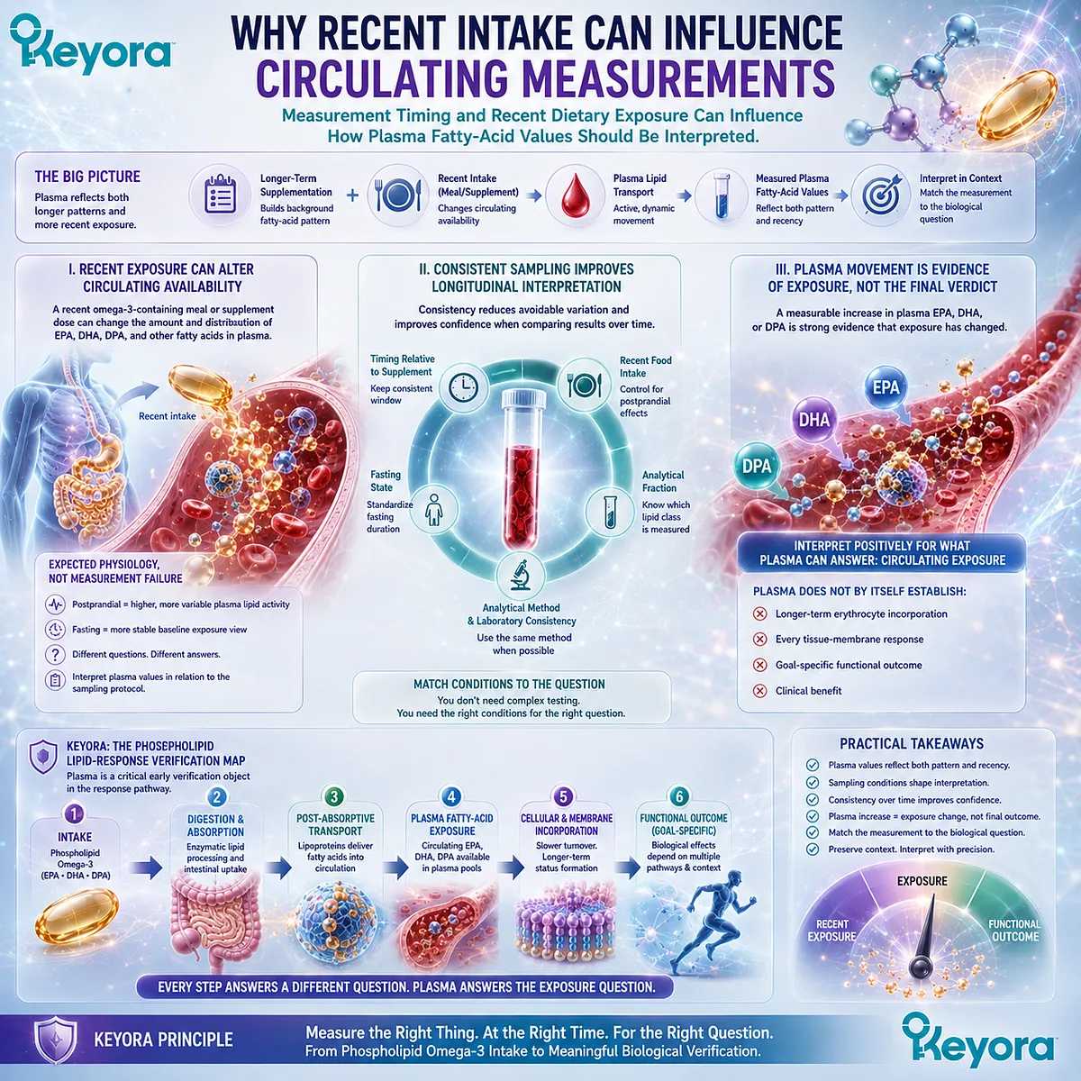 Plasma EPA, DHA and DPA reflect recent Phospholipid Omega-3 intake, with meal timing and sampling conditions shaping exposure verification in Keyora’s Lipid-Response Map. Plasma EPA, DHA and DPA reflect recent Phospholipid Omega-3 intake, with meal timing and sampling conditions shaping exposure verification in Keyora’s Lipid-Response Map.