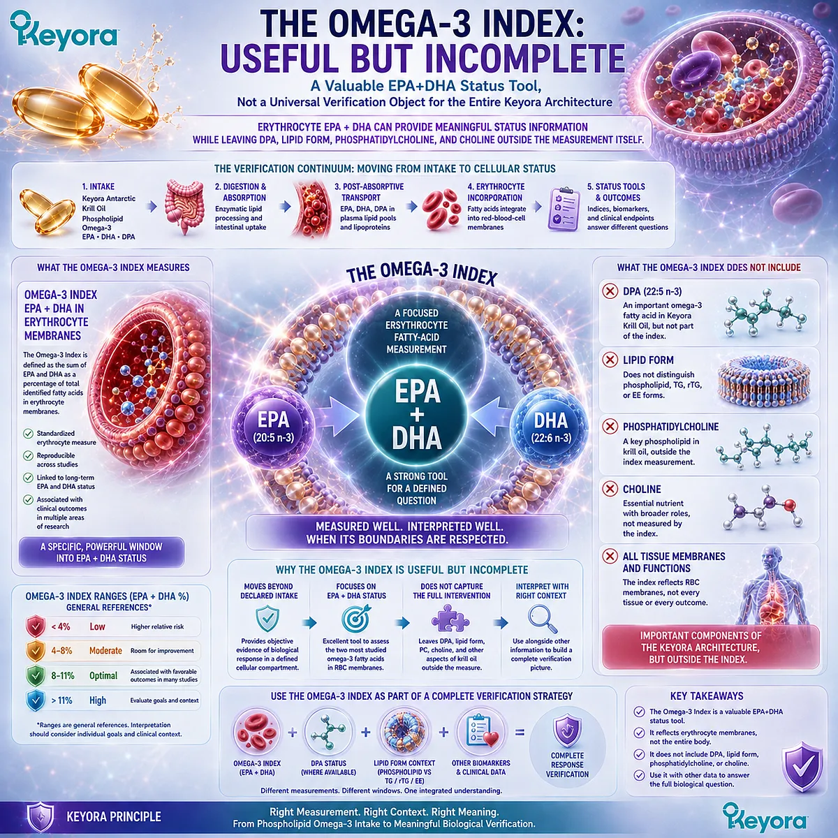 Omega-3 Index measures RBC EPA+DHA status but excludes DPA, lipid form and phosphatidylcholine, defining its role in Keyora’s Phospholipid Omega-3 verification framework. Omega-3 Index measures RBC EPA+DHA status but excludes DPA, lipid form and phosphatidylcholine, defining its role in Keyora’s Phospholipid Omega-3 verification framework.