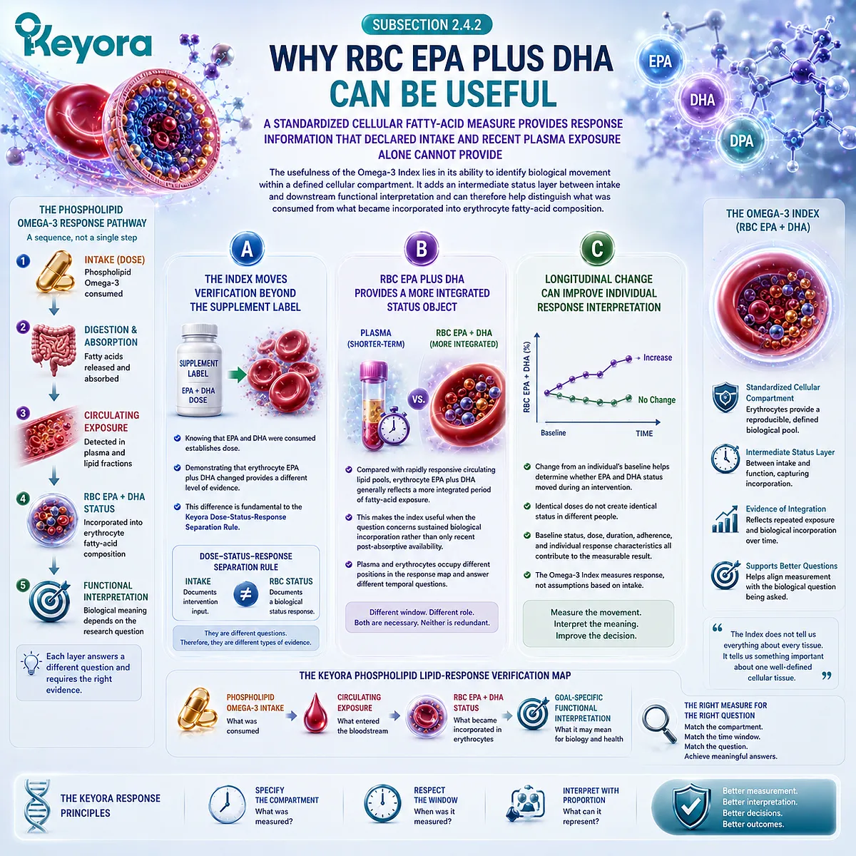Omega-3 Index tracks longitudinal RBC EPA+DHA incorporation beyond supplement dose and plasma exposure, supporting Keyora’s Dose-Status-Response Separation Rule. Omega-3 Index tracks longitudinal RBC EPA+DHA incorporation beyond supplement dose and plasma exposure, supporting Keyora’s Dose-Status-Response Separation Rule.