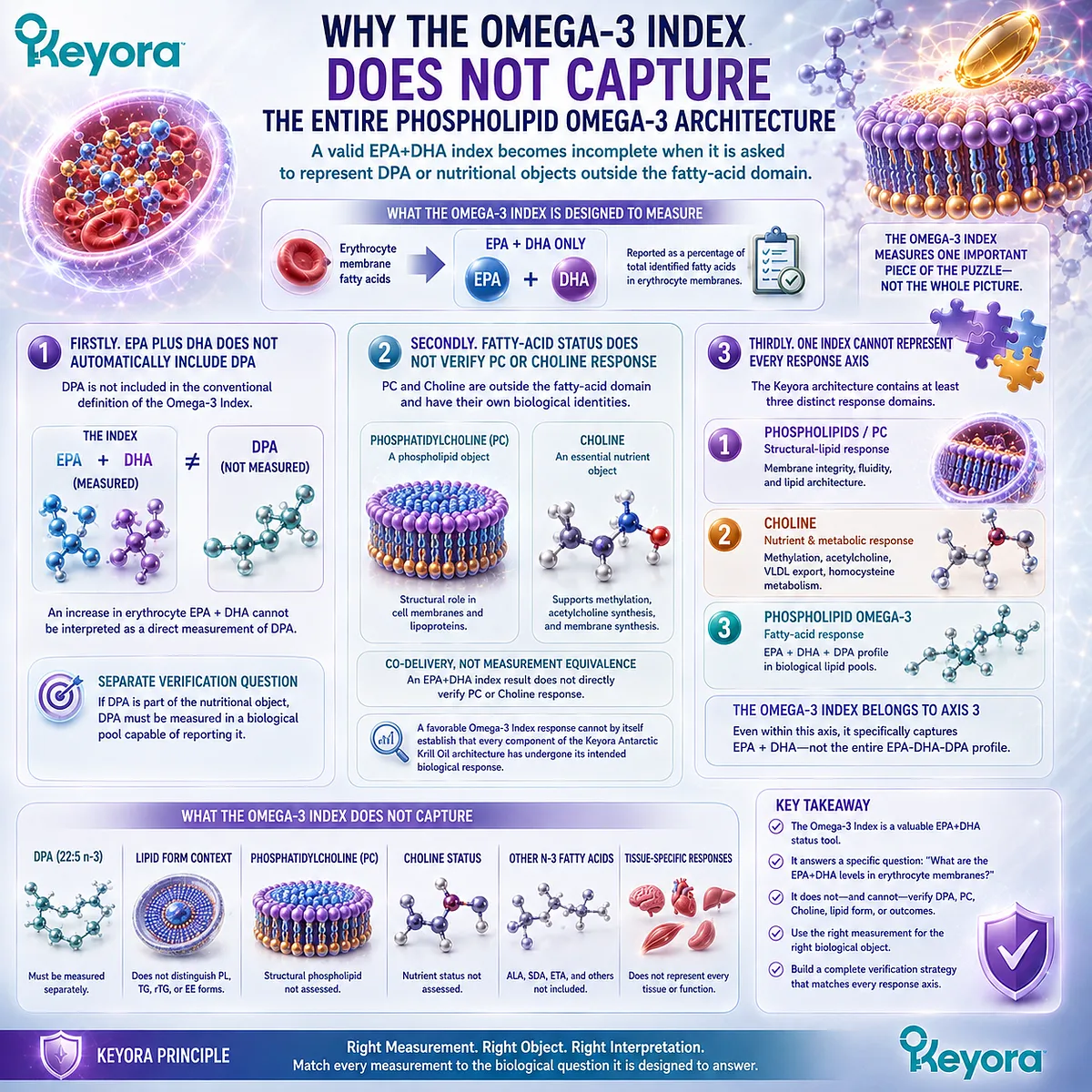Omega-3 Index measures RBC EPA+DHA but not DPA, phosphatidylcholine or choline, separating Keyora Phospholipid Omega-3 response into object-specific verification axes. Omega-3 Index measures RBC EPA+DHA but not DPA, phosphatidylcholine or choline, separating Keyora Phospholipid Omega-3 response into object-specific verification axes.