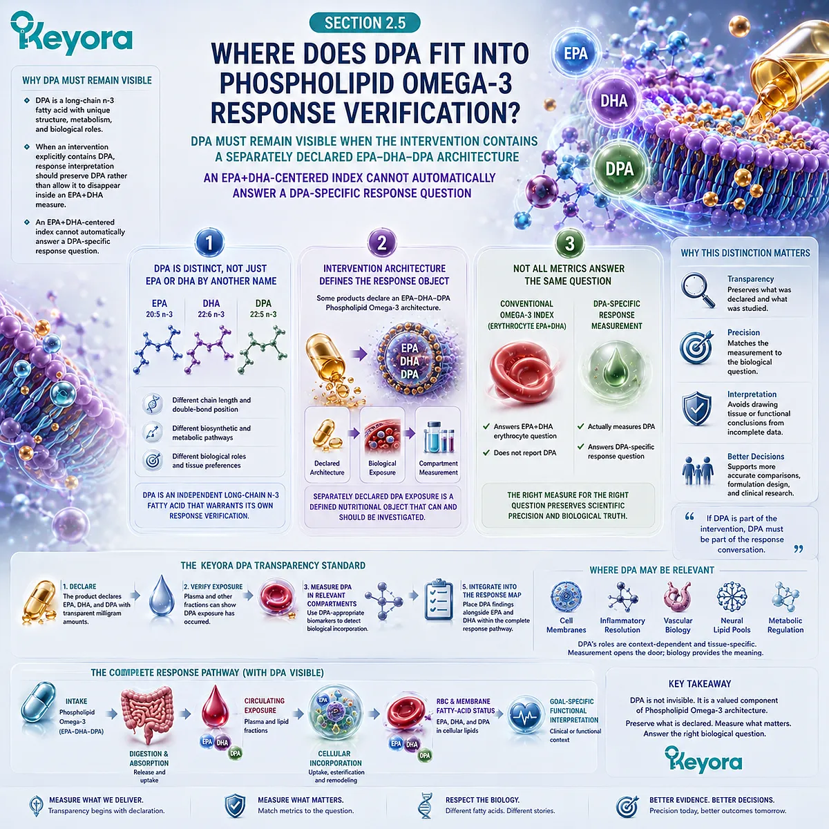 DPA response requires direct fatty-acid measurement beyond the EPA+DHA Omega-3 Index, preserving Phospholipid Omega-3 identity through Keyora’s DPA Transparency Standard. DPA response requires direct fatty-acid measurement beyond the EPA+DHA Omega-3 Index, preserving Phospholipid Omega-3 identity through Keyora’s DPA Transparency Standard.