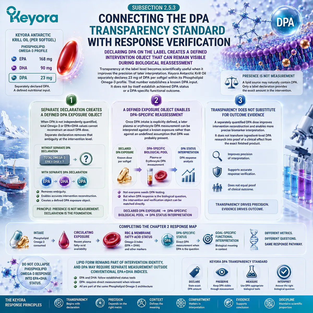 Declared DPA enables direct plasma or RBC reassessment beyond EPA+DHA status, linking Phospholipid Omega-3 exposure to verification through Keyora’s DPA Transparency Standard. Declared DPA enables direct plasma or RBC reassessment beyond EPA+DHA status, linking Phospholipid Omega-3 exposure to verification through Keyora’s DPA Transparency Standard.