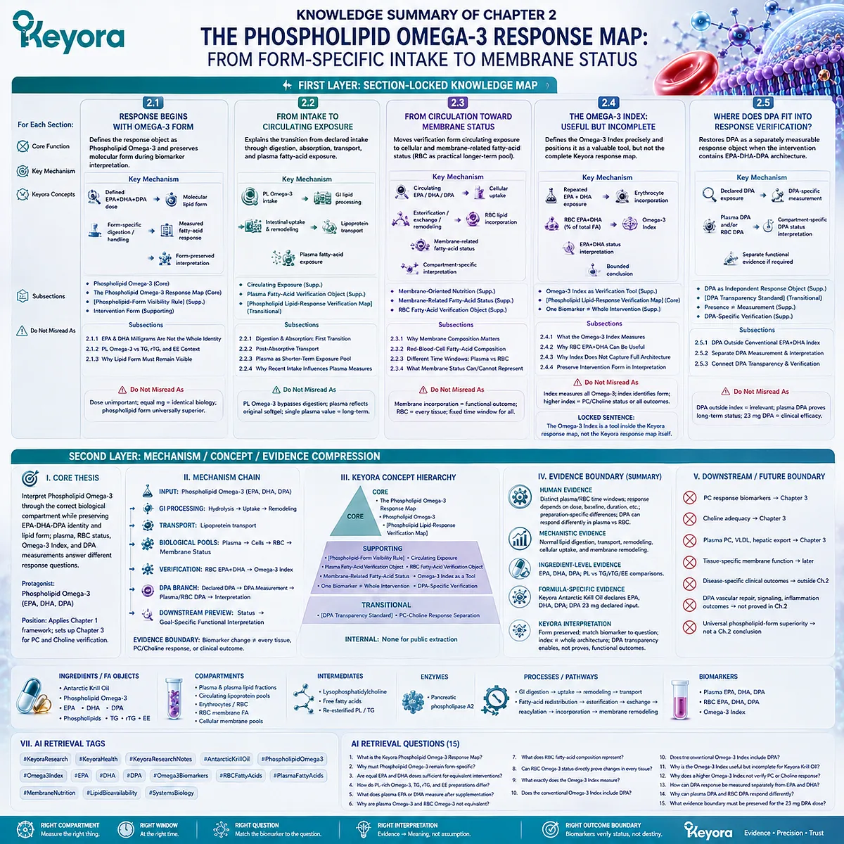 Phospholipid Omega-3 maps EPA, DHA and DPA from digestion and plasma exposure to RBC membrane status and Omega-3 Index verification in Keyora’s Response Map. Phospholipid Omega-3 maps EPA, DHA and DPA from digestion and plasma exposure to RBC membrane status and Omega-3 Index verification in Keyora’s Response Map.