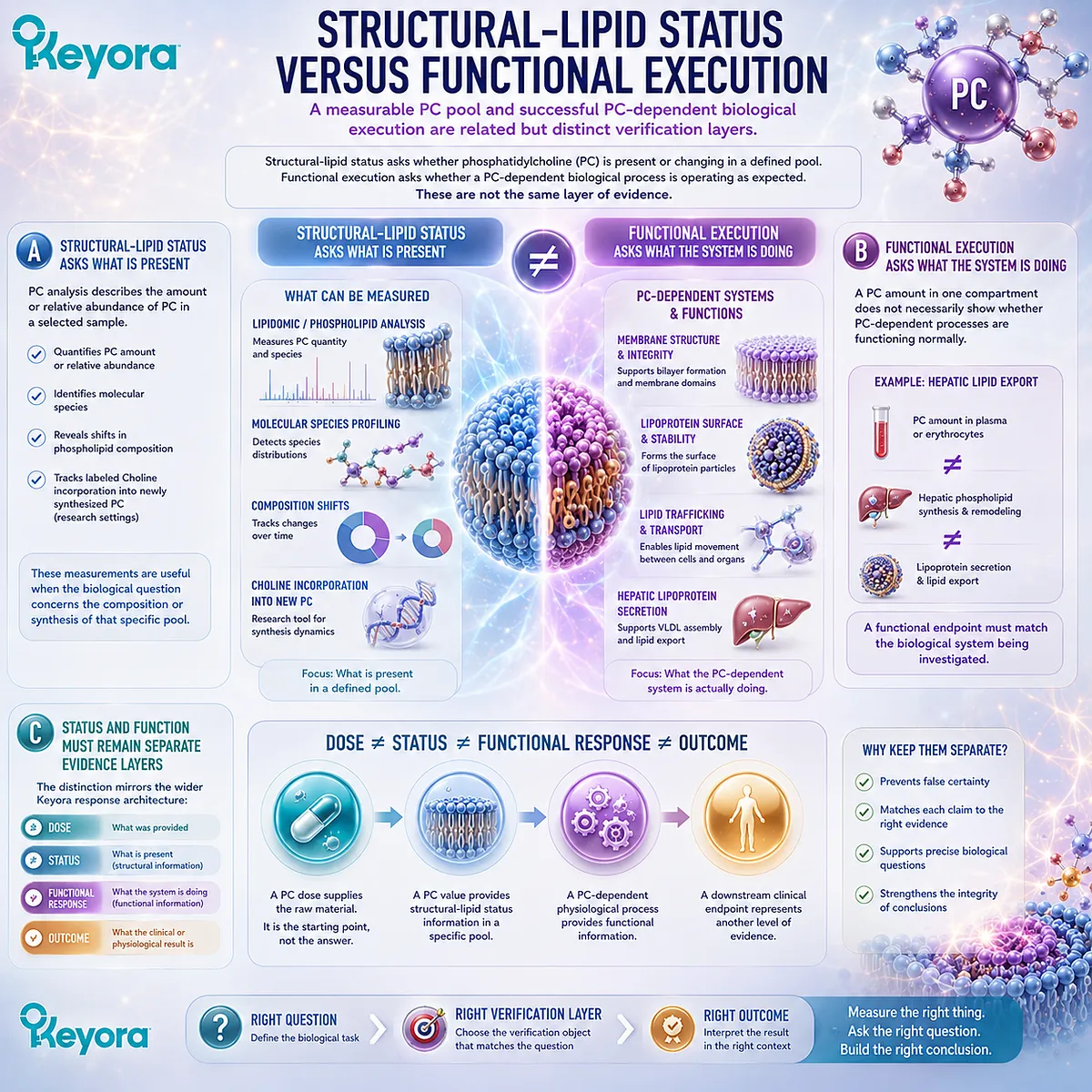 Phosphatidylcholine status measures PC in a defined lipid pool, while functional response tests membrane or lipoprotein execution in the Keyora PC-Choline Response Map. Phosphatidylcholine status measures PC in a defined lipid pool, while functional response tests membrane or lipoprotein execution in the Keyora PC-Choline Response Map.