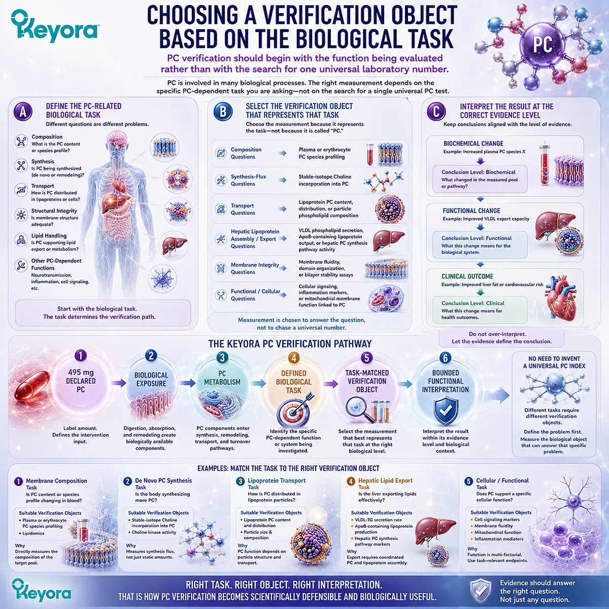 Phosphatidylcholine verification matches membrane, lipid transport or hepatic function to task-specific biomarkers in the Keyora PC-Choline Response Map. Phosphatidylcholine verification matches membrane, lipid transport or hepatic function to task-specific biomarkers in the Keyora PC-Choline Response Map.