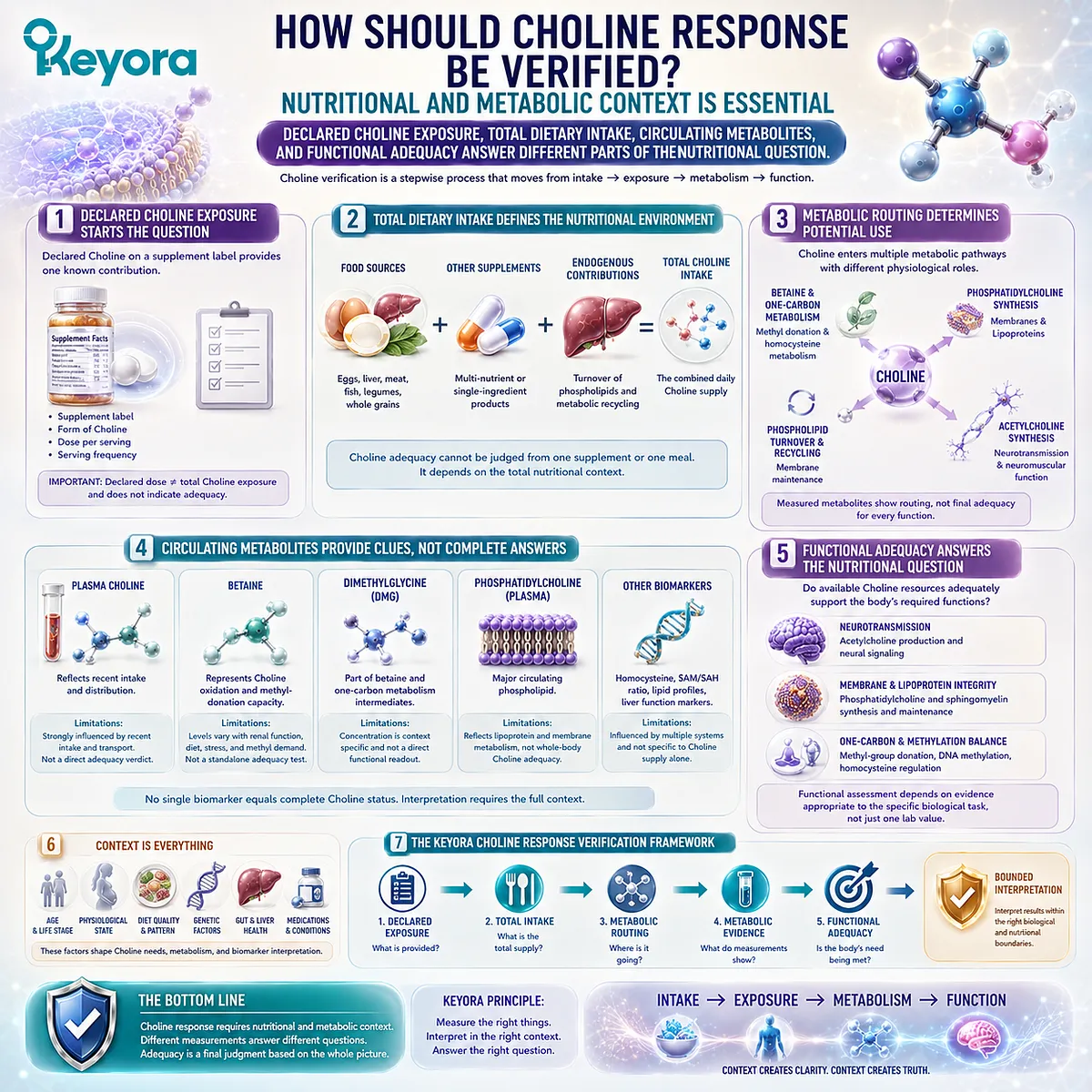 Choline adequacy depends on total dietary intake, betaine and one-carbon metabolism, not one blood value, within the Keyora PC-Choline Response Map. Choline adequacy depends on total dietary intake, betaine and one-carbon metabolism, not one blood value, within the Keyora PC-Choline Response Map.