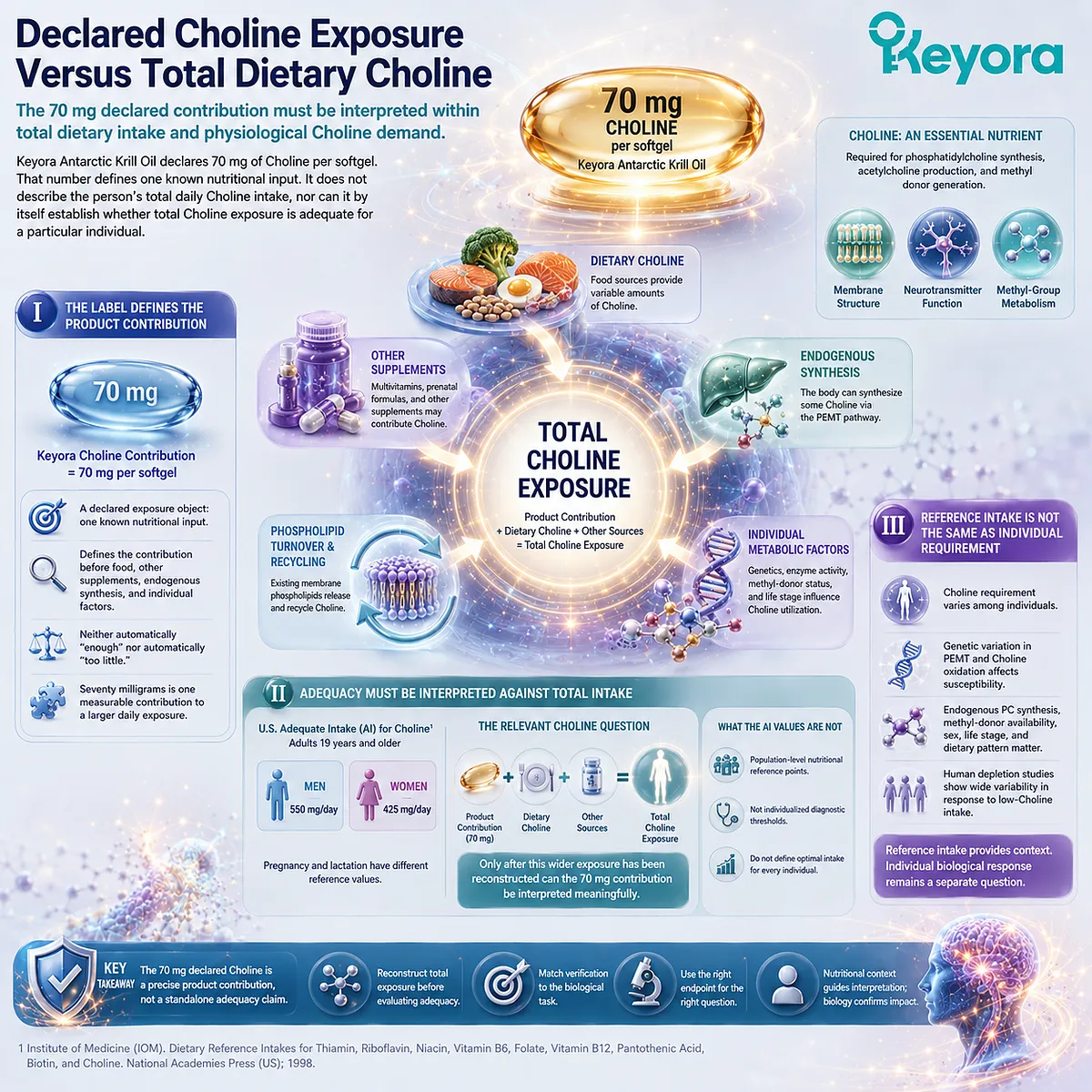 Choline intake combines Keyora’s 70 mg contribution with dietary sources and life-stage needs, framing nutritional adequacy through the Keyora PC-Choline Response Map. Choline intake combines Keyora’s 70 mg contribution with dietary sources and life-stage needs, framing nutritional adequacy through the Keyora PC-Choline Response Map.