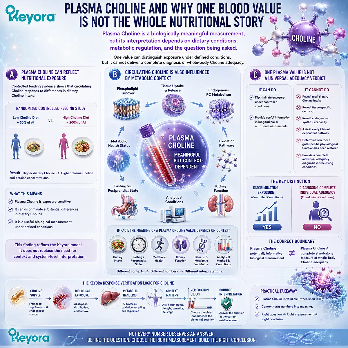 Plasma choline can reflect dietary choline exposure but varies with phospholipid turnover and metabolic context, as framed by the Keyora PC-Choline Response Map. Plasma choline can reflect dietary choline exposure but varies with phospholipid turnover and metabolic context, as framed by the Keyora PC-Choline Response Map.
