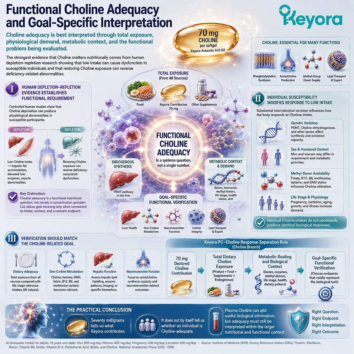 Choline adequacy integrates total intake, metabolic routing and functional demand rather than one blood value under the Keyora PC-Choline Response Separation Rule. Choline adequacy integrates total intake, metabolic routing and functional demand rather than one blood value under the Keyora PC-Choline Response Separation Rule.