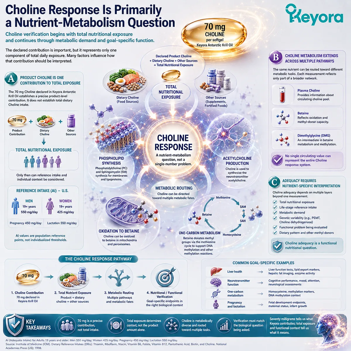 Choline response integrates total dietary exposure, acetylcholine, phospholipid and one-carbon metabolism with functional verification under the Keyora PC-Choline Response Separation Rule. Choline response integrates total dietary exposure, acetylcholine, phospholipid and one-carbon metabolism with functional verification under the Keyora PC-Choline Response Separation Rule.
