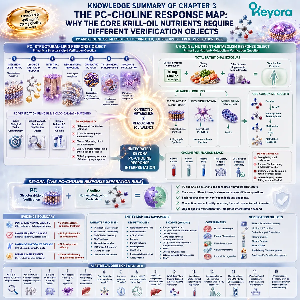Phosphatidylcholine structural-lipid response and choline nutrient metabolism require separate biomarkers before integration in the Keyora PC-Choline Response Map. Phosphatidylcholine structural-lipid response and choline nutrient metabolism require separate biomarkers before integration in the Keyora PC-Choline Response Map.
