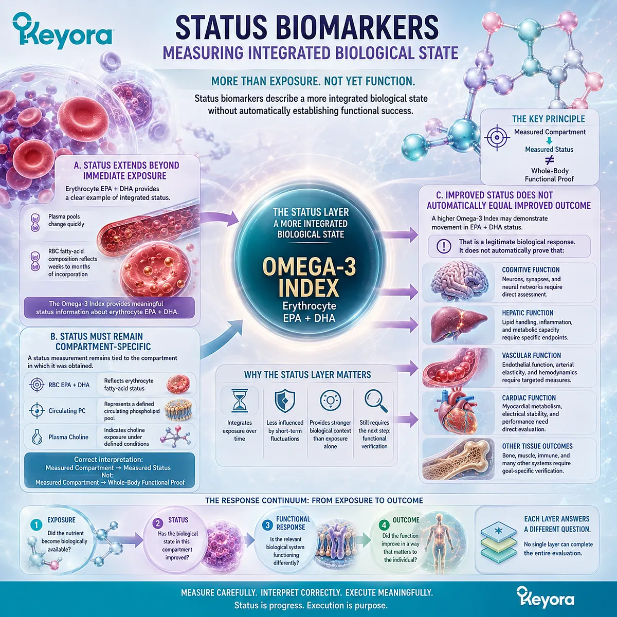 Omega-3 Index and RBC EPA+DHA track integrated Phospholipid Omega-3 status within erythrocytes, while Keyora separates compartment status from whole-body functional proof. Omega-3 Index and RBC EPA+DHA track integrated Phospholipid Omega-3 status within erythrocytes, while Keyora separates compartment status from whole-body functional proof.