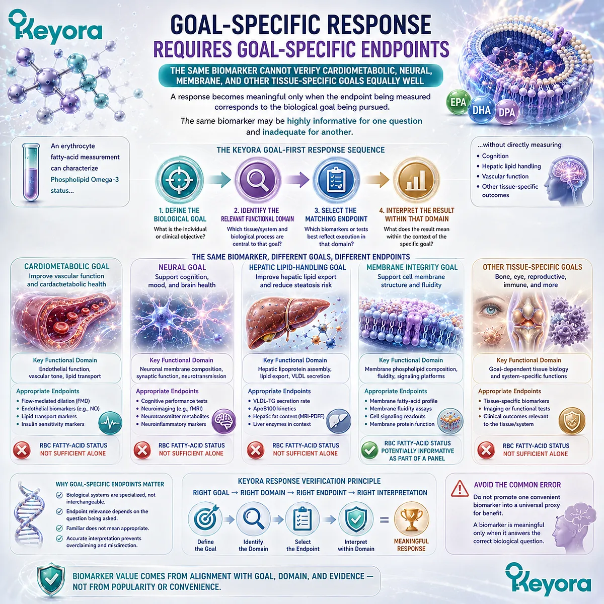 Phospholipid Omega-3 response requires goal-specific endpoints for cardiometabolic, neural, membrane, or hepatic function, guided by the Keyora goal-first verification framework. Phospholipid Omega-3 response requires goal-specific endpoints for cardiometabolic, neural, membrane, or hepatic function, guided by the Keyora goal-first verification framework.